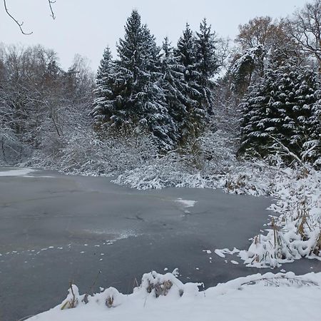 Villa Waldblick Cavertitz Esterno foto
