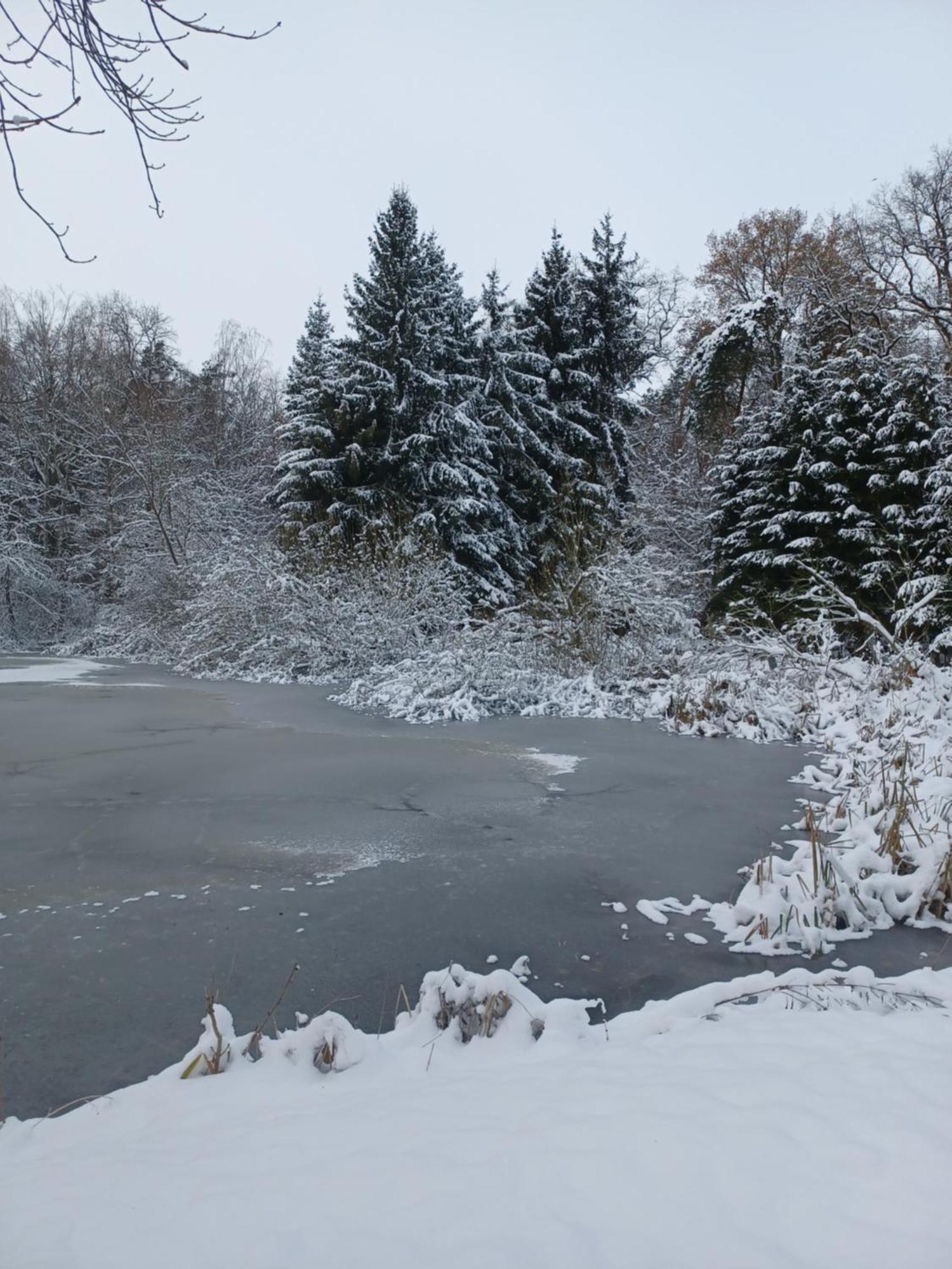 Villa Waldblick Cavertitz Esterno foto