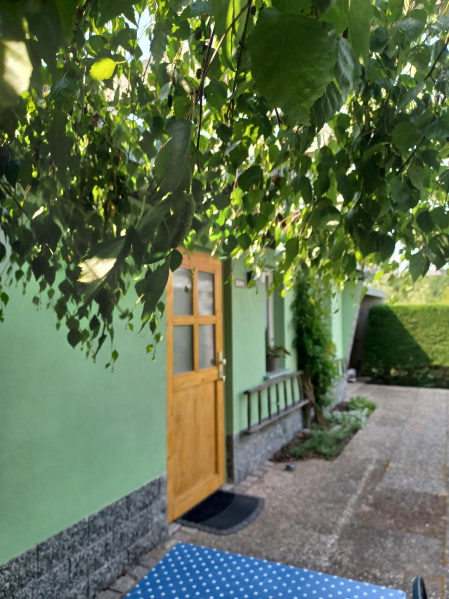 Villa Waldblick Cavertitz Esterno foto